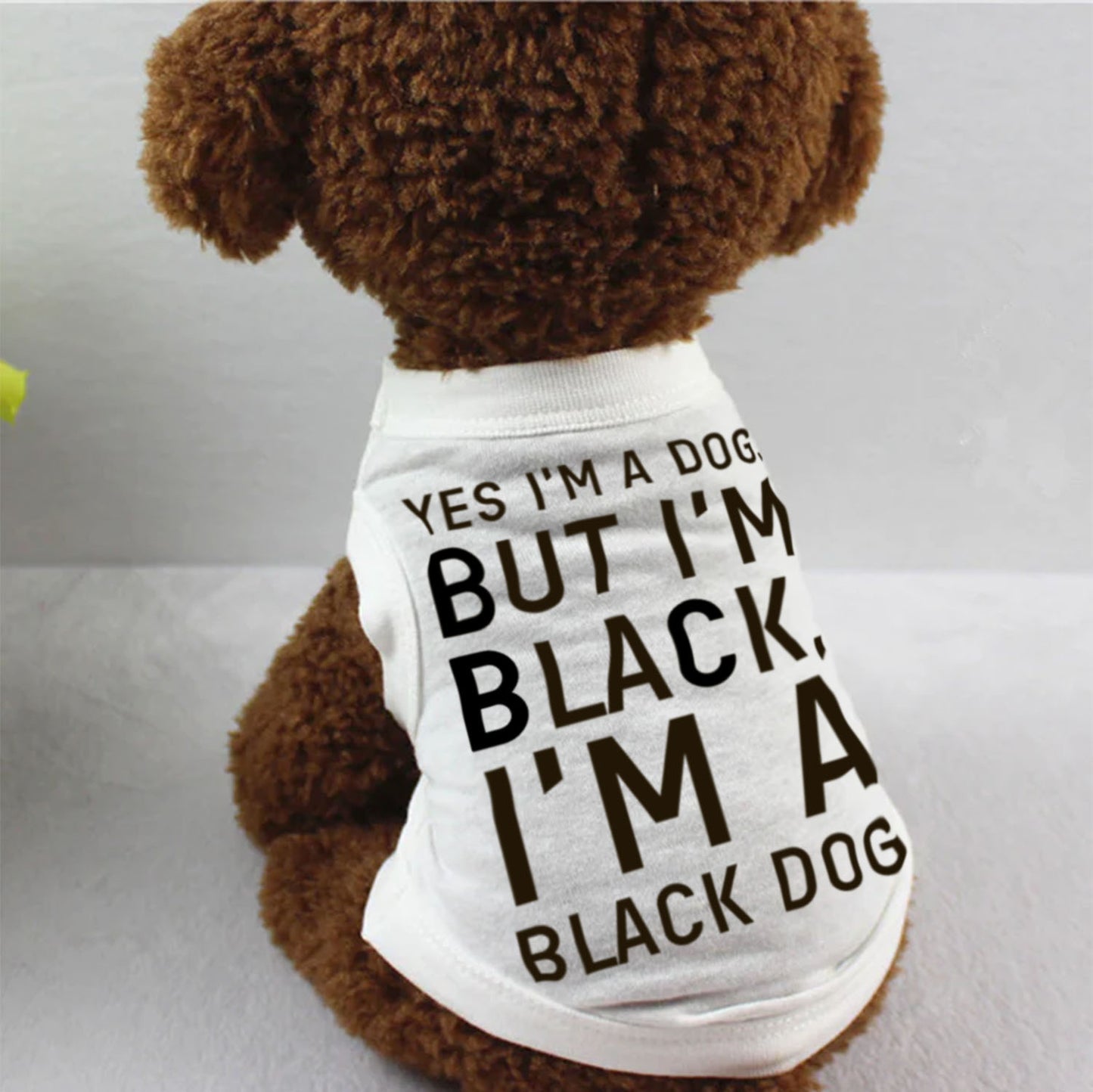I'm A Black Dog
