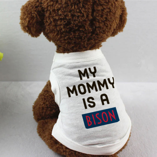 My Mommy Is A Bison (Howard University)