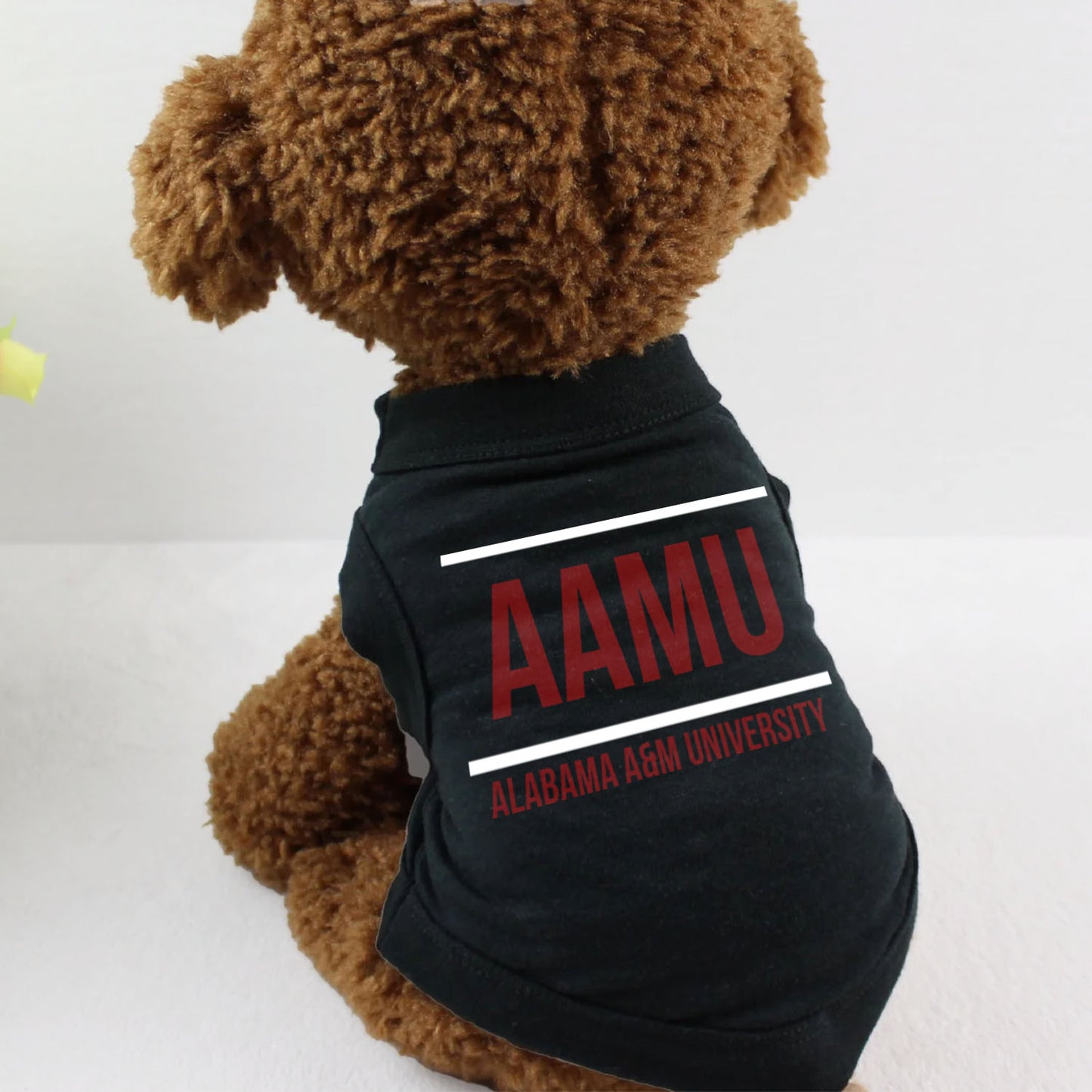 AAMU