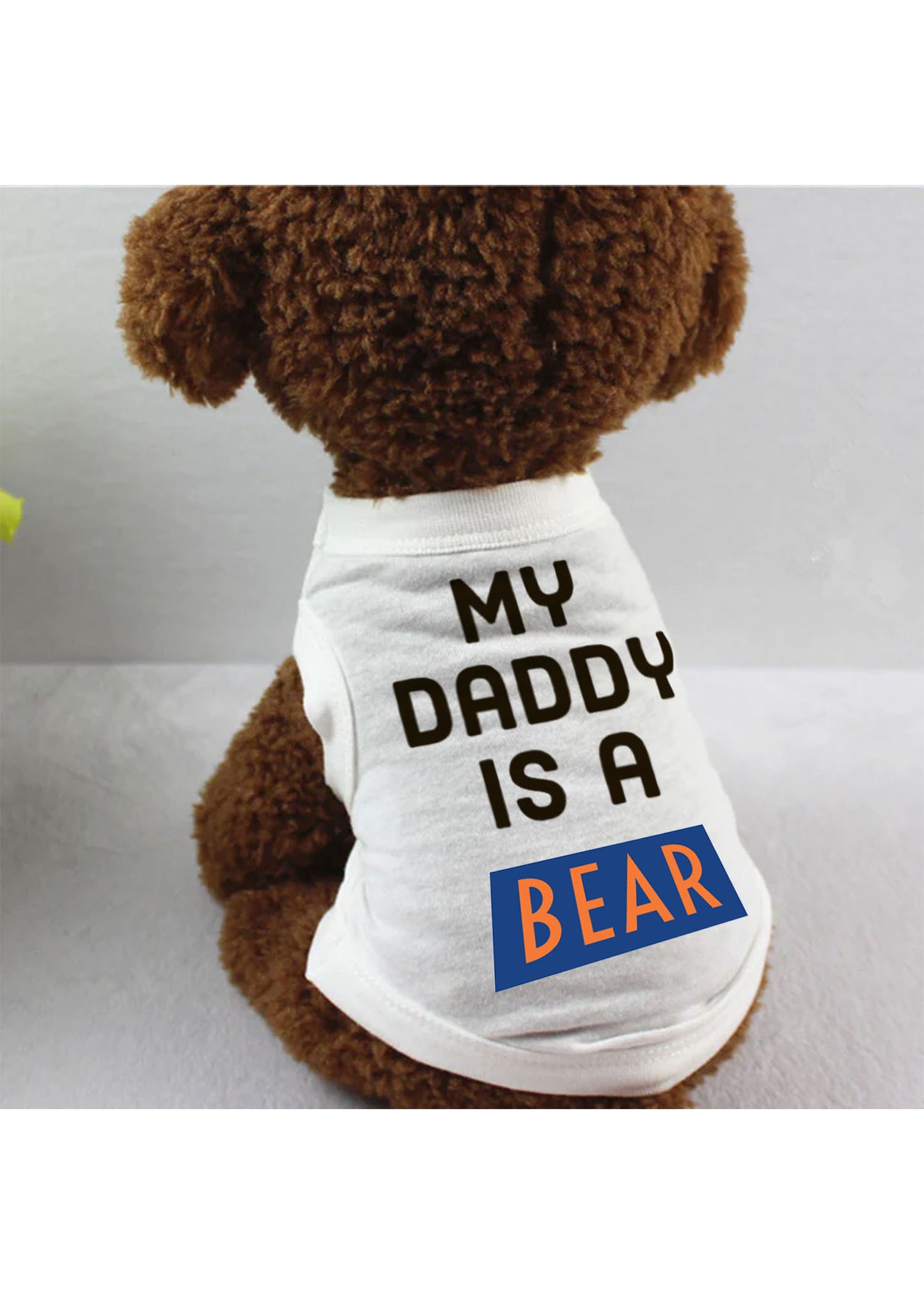 My Daddy Is A Bear