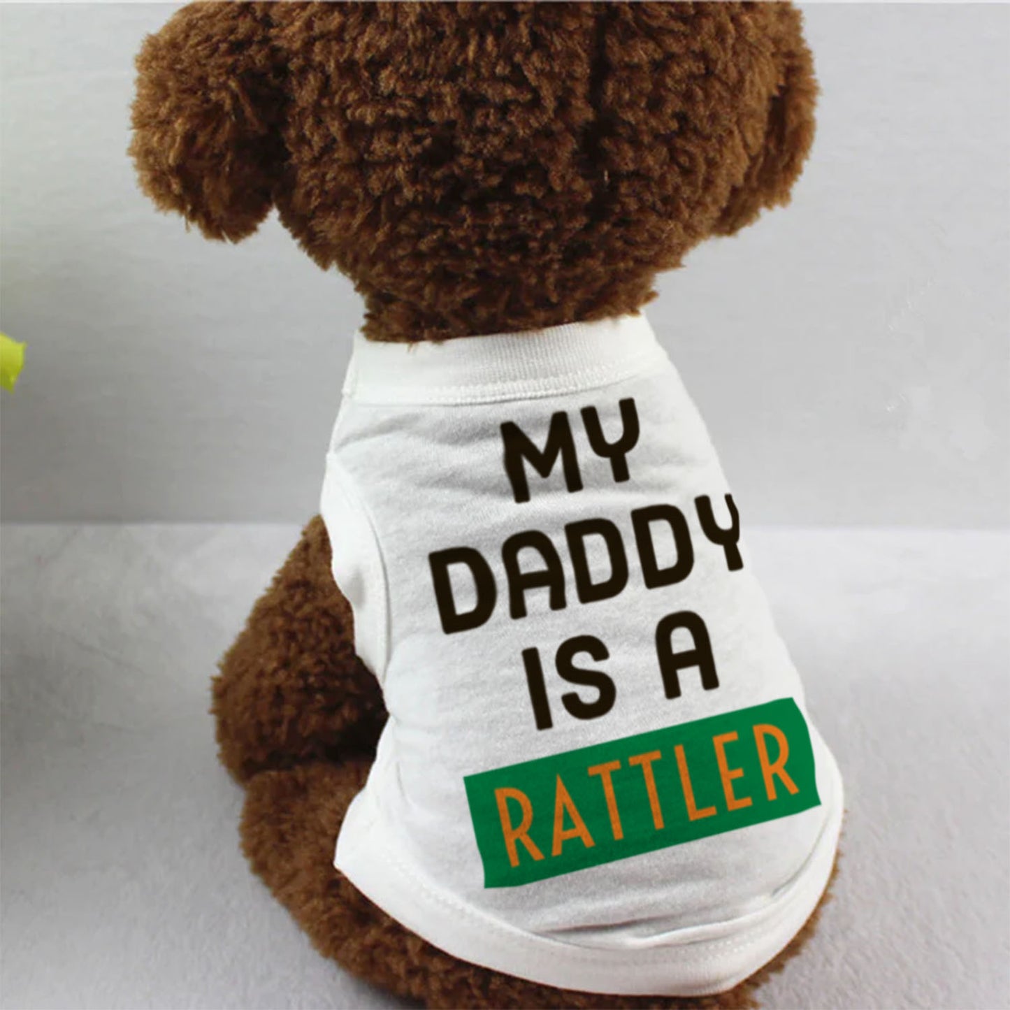 My Daddy is a Rattler (Florida A&M University)(FAMU)