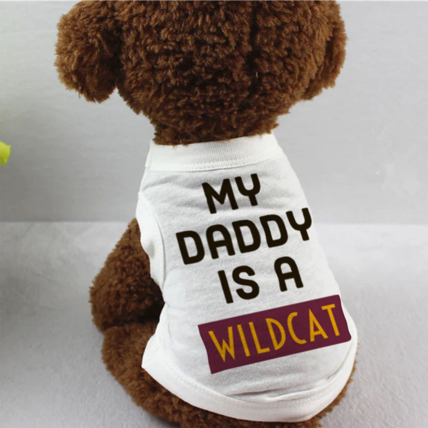 My Daddy Is A Wildcat (Bethune Cookman University) (BCU)