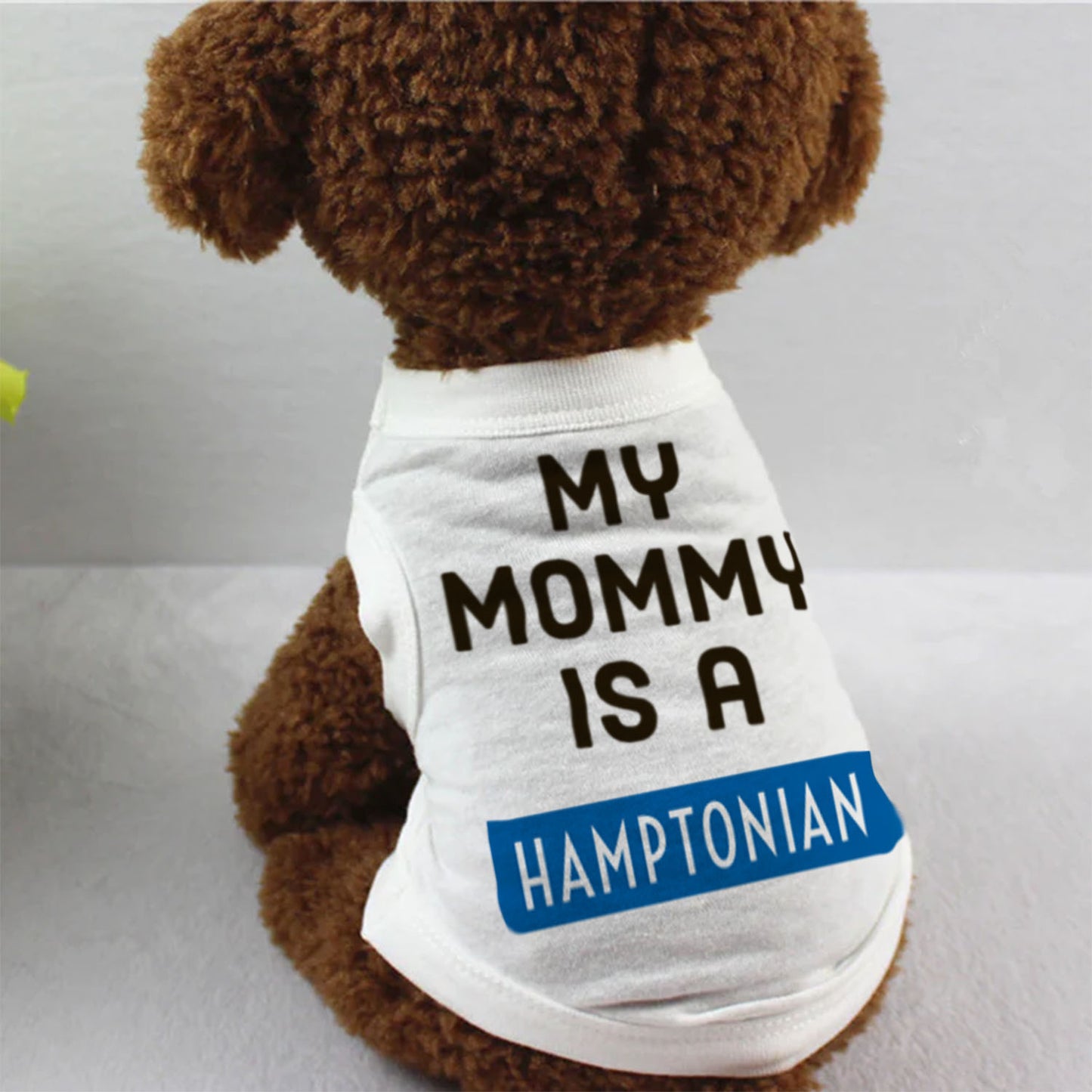 My Mommy Is A Hamptonian (Hampton University)